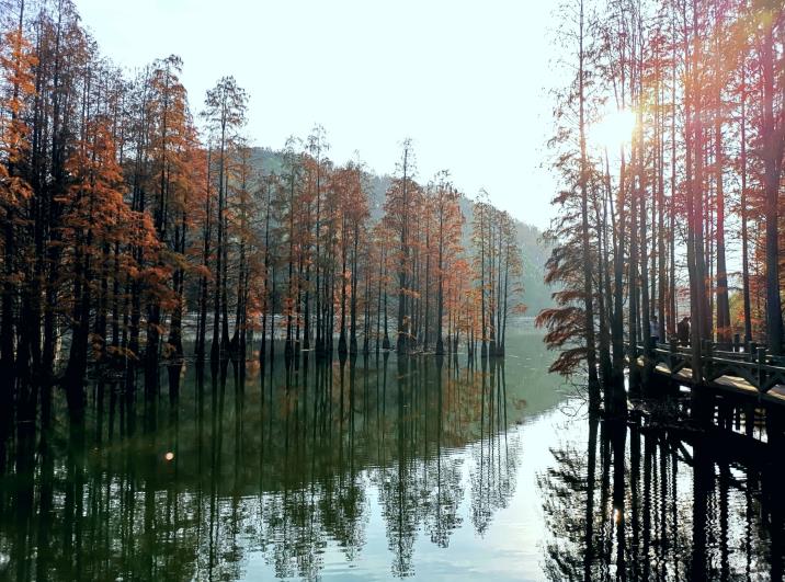 一等奖——章文